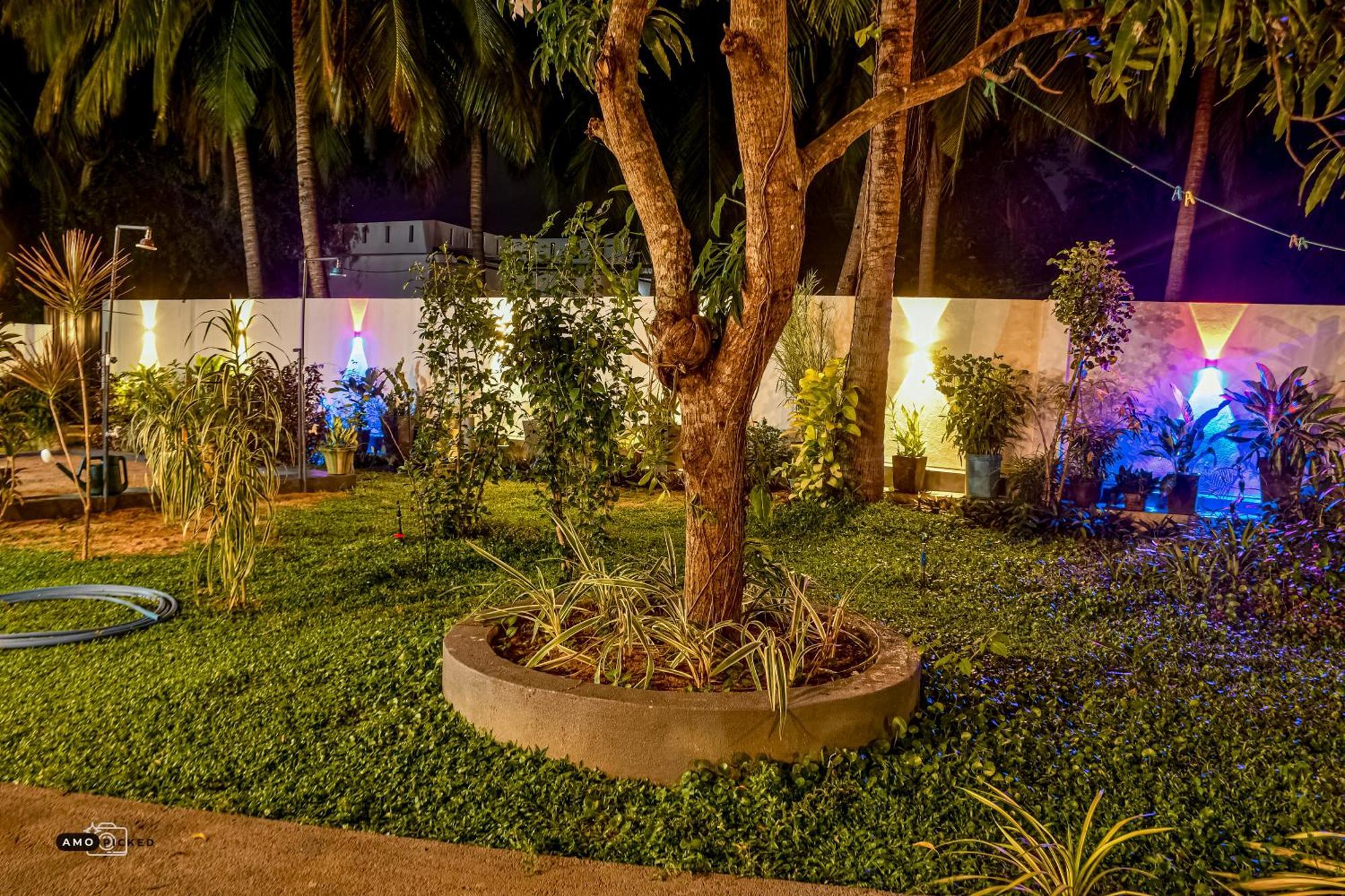 Coconut Villa 阿鲁甘湾 外观 照片